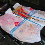 自転車の荷台にピザを括りつけてお持ち帰りした件。