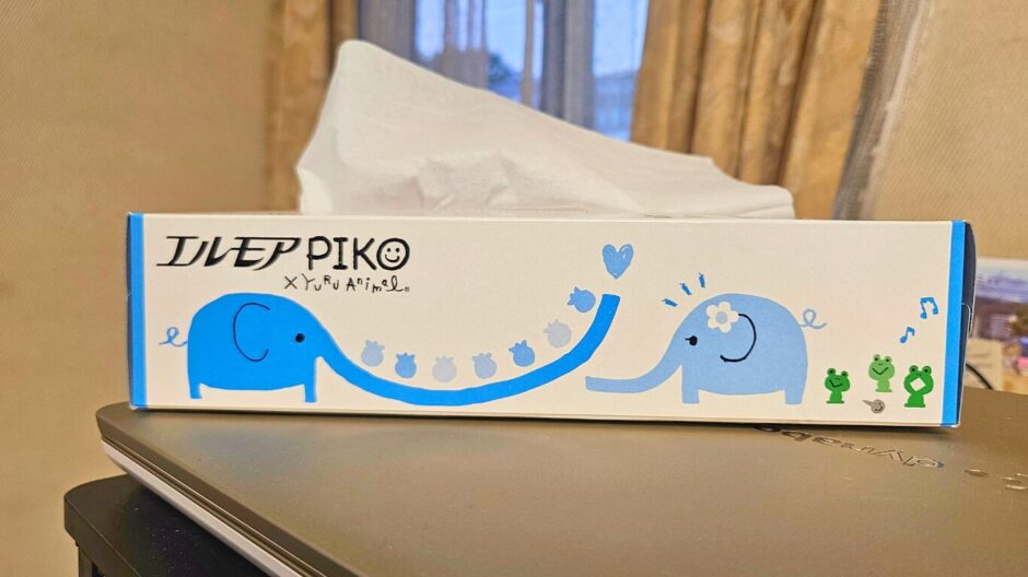 副鼻腔炎でティッシュ大量消費